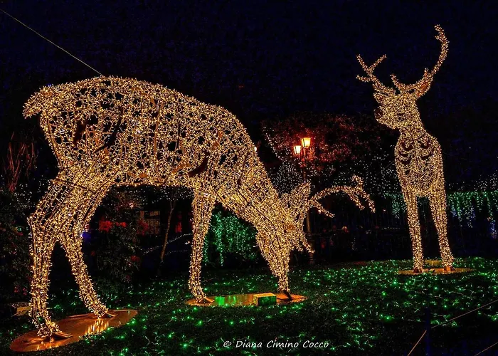 לינה וארוחת בוקר In Centro