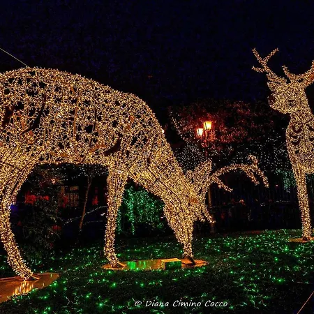 ベッド・アンド・ブレックファスト In Centro