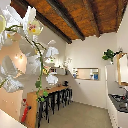 Bed & Breakfast In Centro Salerno