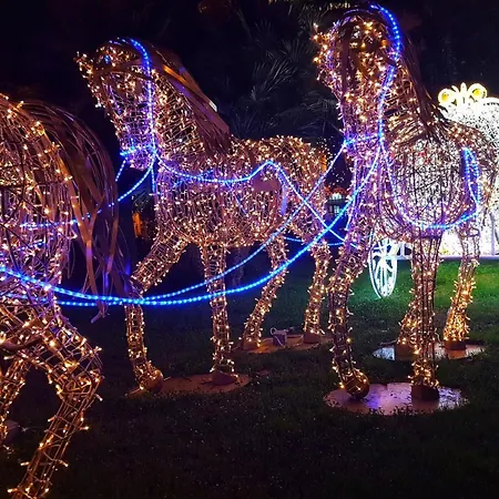 Bed & Breakfast In Centro 3*